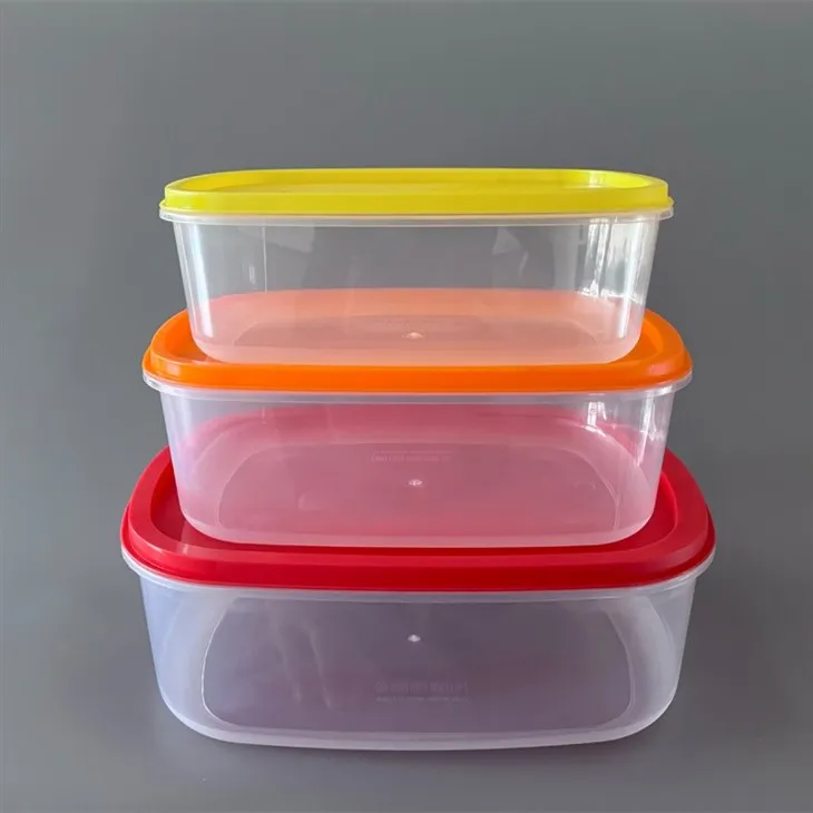 Storage Container Mold